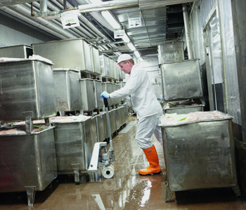 Transpallet manuale Toyota per ambienti umidi